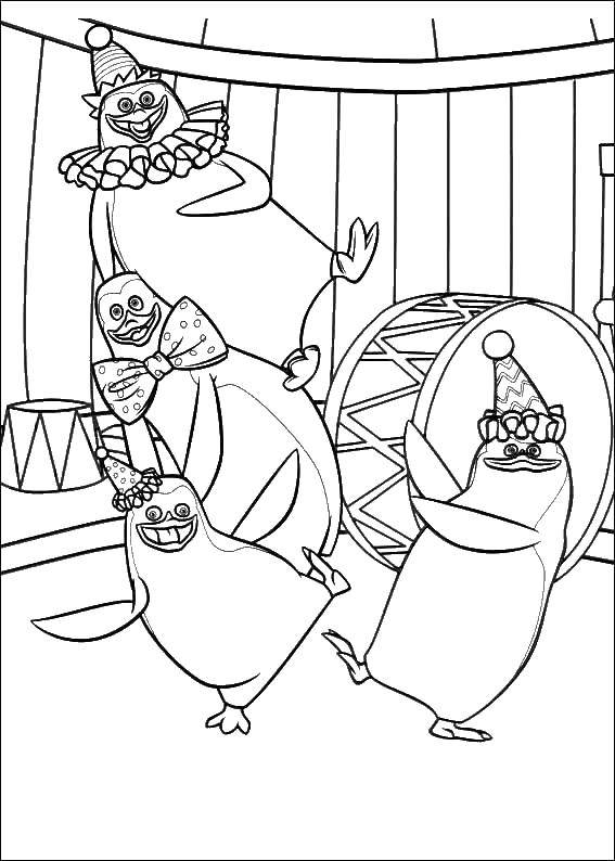 Coloring The penguins of Madagascar. Category Madagascar. Tags:  Cartoon character.
