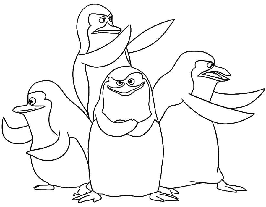 Название: Раскраска Пингвины. Категория: мадагаскар. Теги: Персонаж из мультфильма.