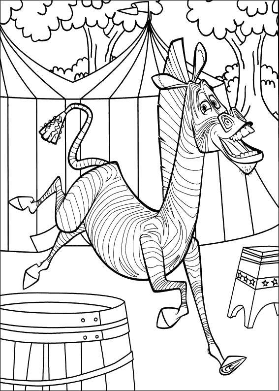Coloring Zebra Marty. Category Madagascar. Tags:  Cartoon character.