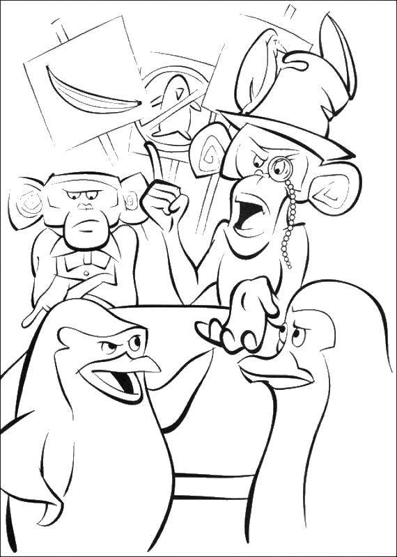 Розмальовки  Мавпи сперечаються з пінгвінами. Завантажити розмальовку Мадагаскар, Алекс, пінгвіни.  Роздрукувати ,мадагаскар,