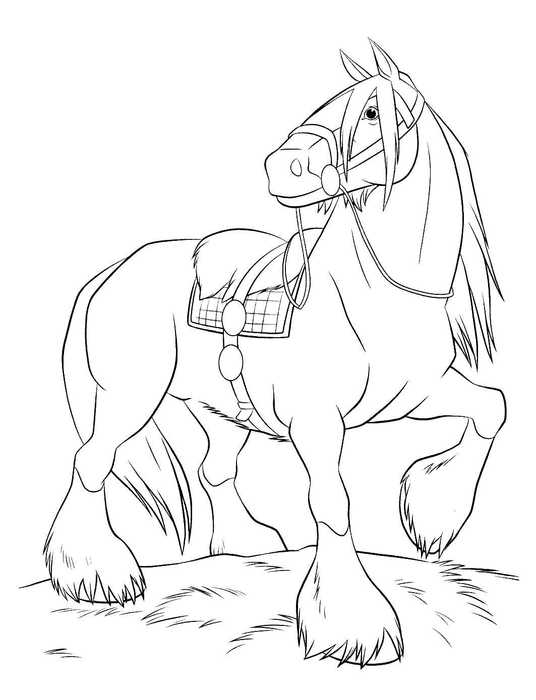 Название: Раскраска Красивый конь. Категория: храбрая сердцем. Теги: Персонаж из мультфильма.