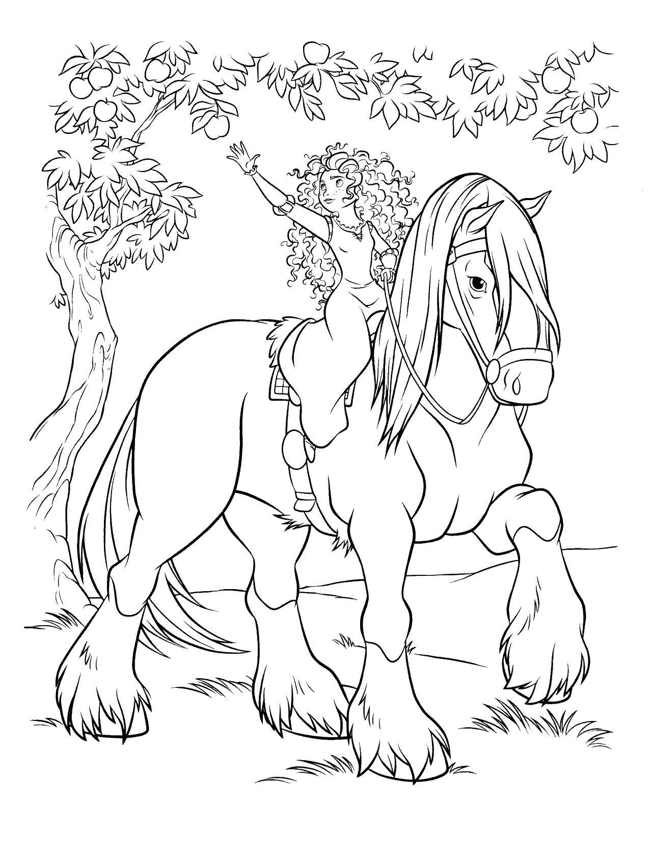 Название: Раскраска Мерида на коне. Категория: храбрая сердцем. Теги: Персонаж из мультфильма.