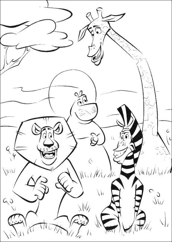 Coloring Animals of Madagascar. Category Madagascar. Tags:  Madagascar, Alex.