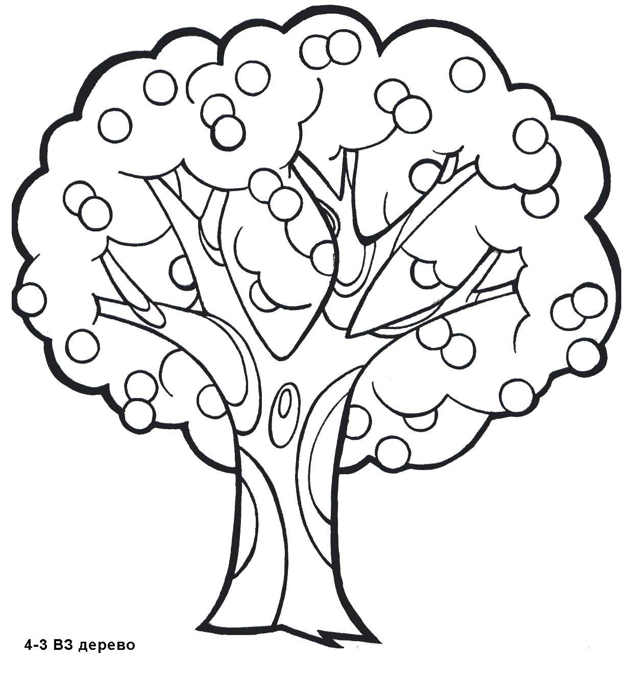 Название: Раскраска Дерево с плодами. Категория: дерево. Теги: дерево.
