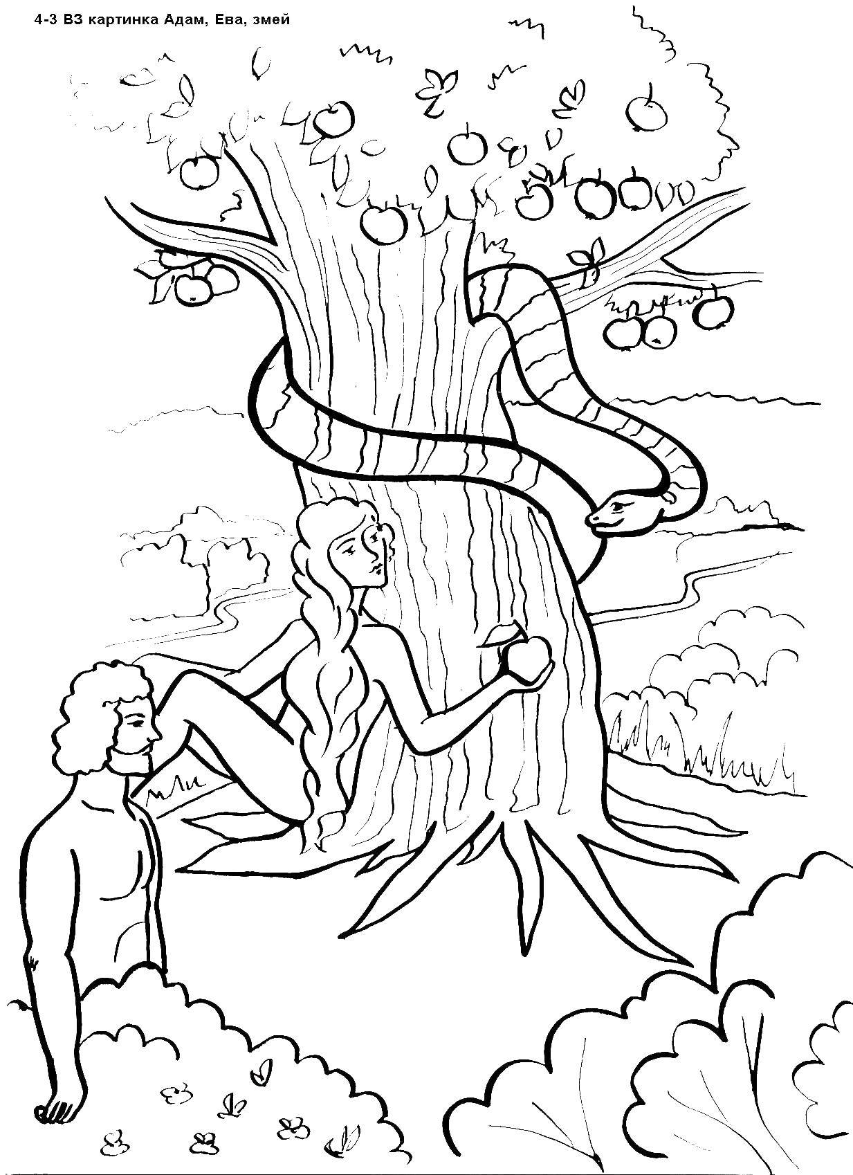 Название: Раскраска Дерево с яблоками. Категория: адам и ева. Теги: адам, ева, мир, земля.