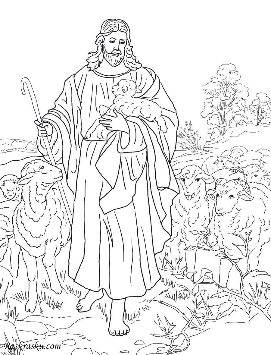 Coloring Jesus Christos shepherd. Category religion. Tags:  Jesus Christos, shepherd.