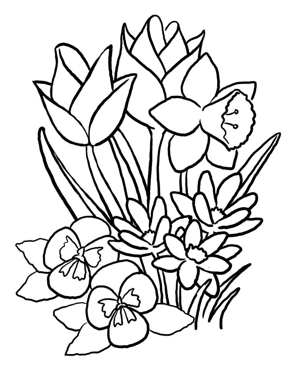 Coloring A beautiful bouquet of flowers. Category flowers. Tags:  Flowers.