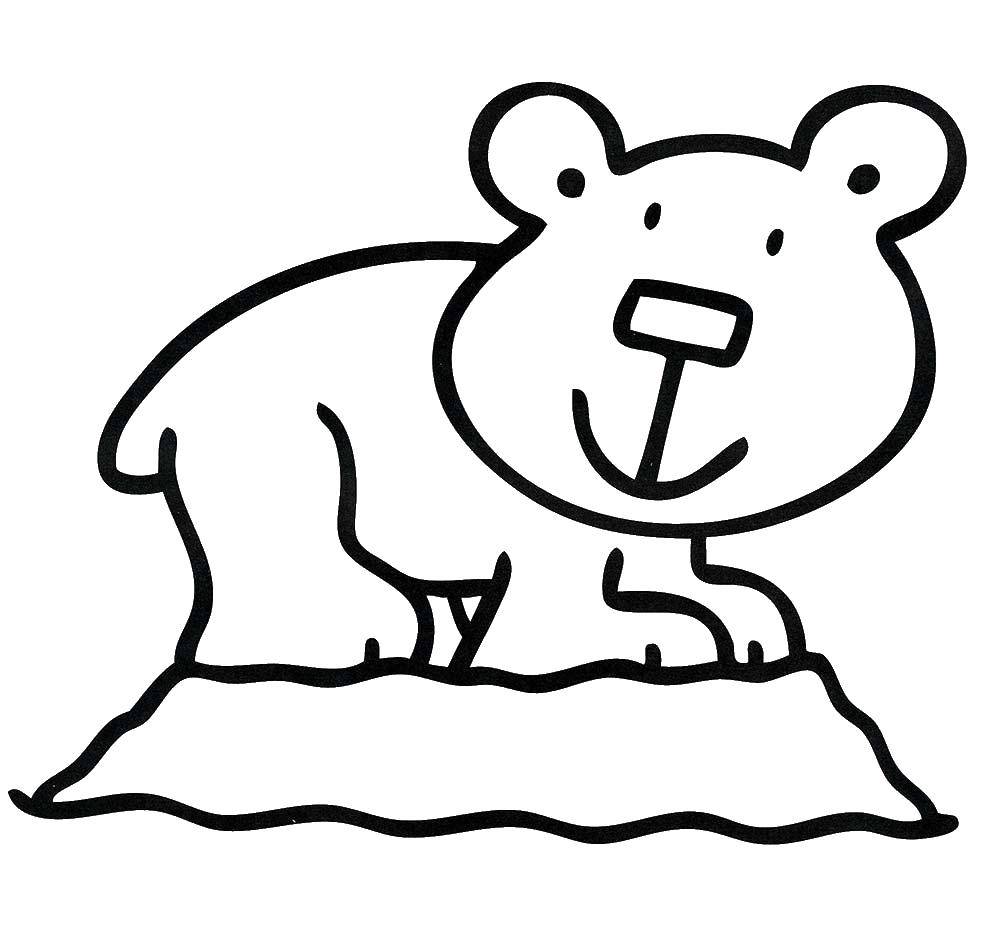 Название: Раскраска Медвежонок. Категория: медвежонок умка. Теги: Животные, медведь.