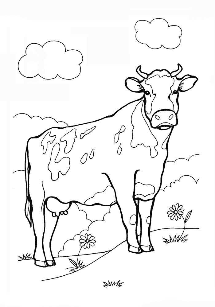 Название: Раскраска Корова на лугу с цветочками. Категория: домашние животные. Теги: корова, луг, цветы.