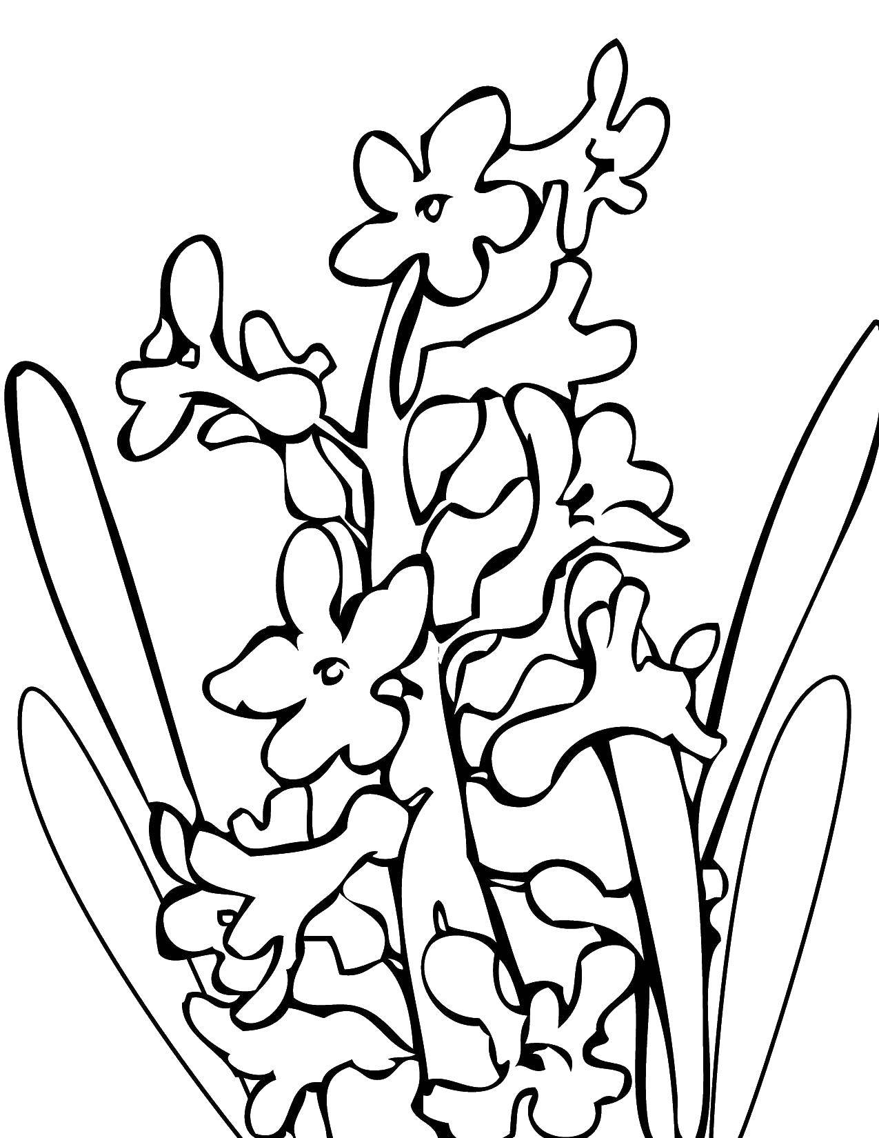 Coloring Little flowers. Category flowers. Tags:  Flowers.