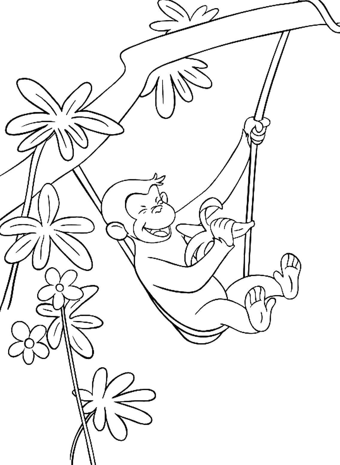 Coloring Monkey with banana. Category Animals. Tags:  Animals, monkey.