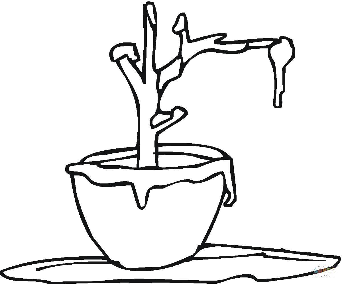 Название: Раскраска Растение в горшке. Категория: Растение. Теги: Растения, цветок.