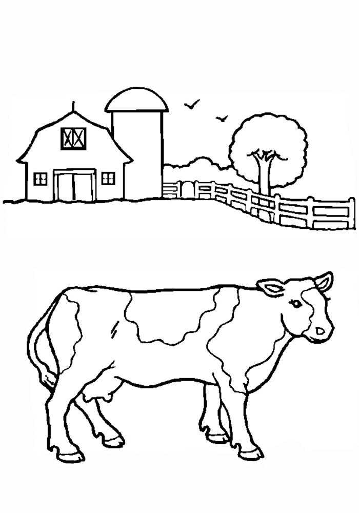 Название: Раскраска Корова на ферме. Категория: домашние животные. Теги: корова, ферма.