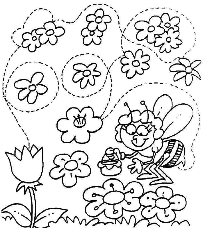 Coloring May bee collects nectar. Category the bee May. Tags:  that may bee, flowers, nectar.
