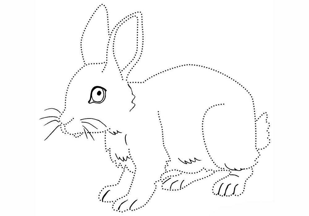 Название: Раскраска Кролик с точечным контуром. Категория: домашние животные. Теги: кролик.