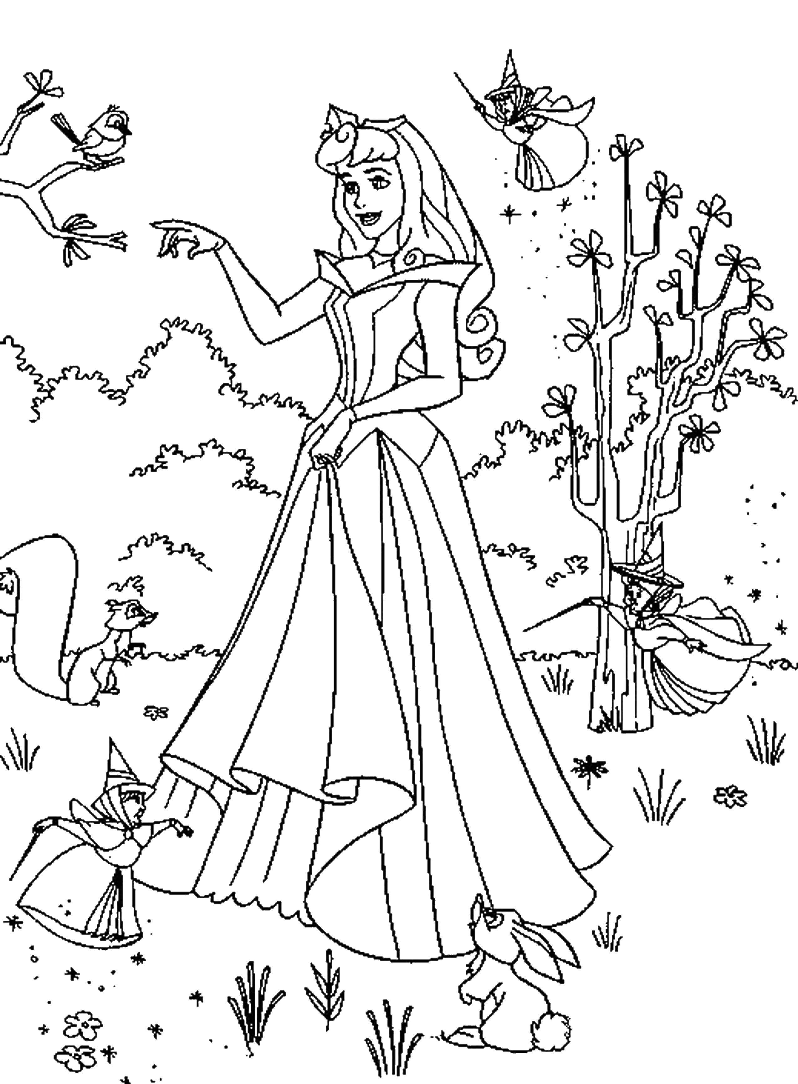 Coloring Princess Aurora with fairies. Category sleeping beauty. Tags:  sleeping beauty, Princess Aurora.