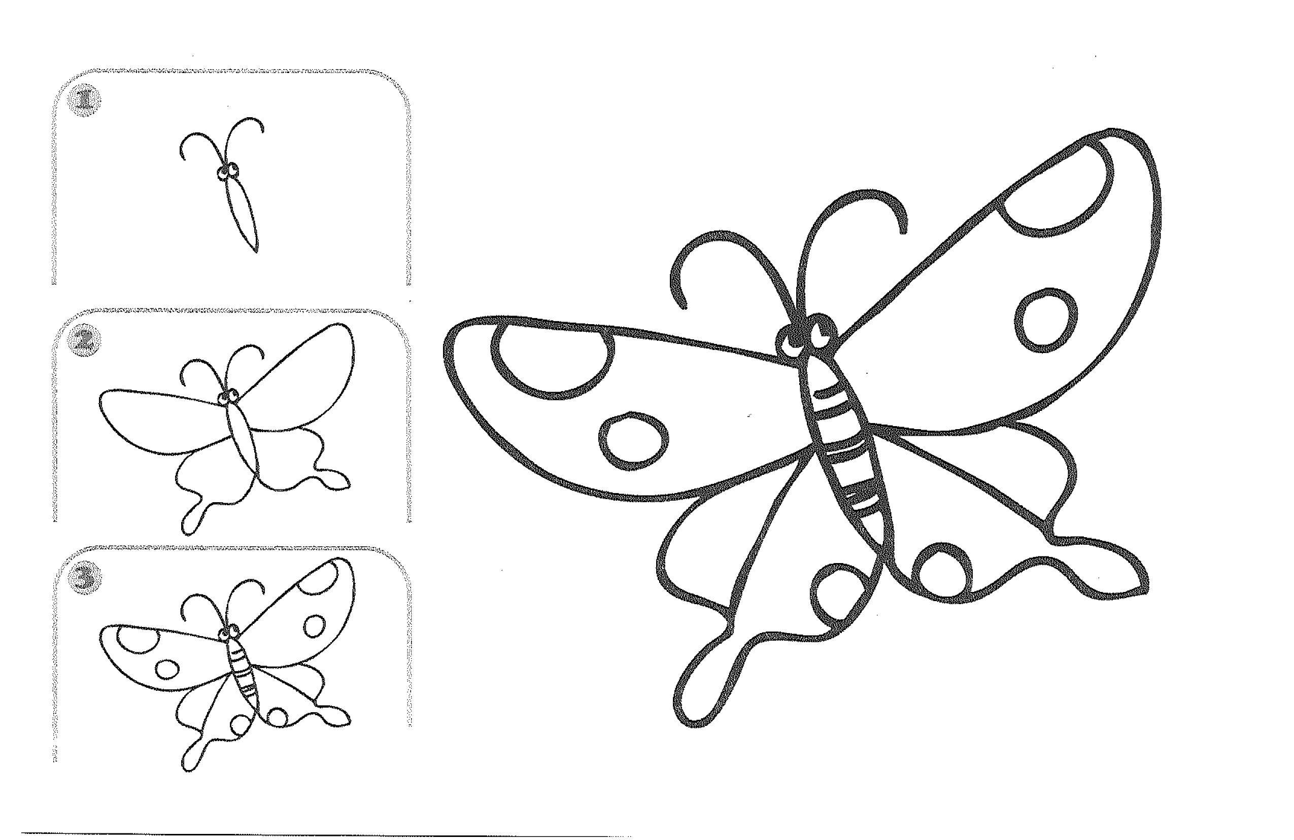 Название: Раскраска Рисуем бабочку. Категория: Насекомые. Теги: бабочка, рисуем.