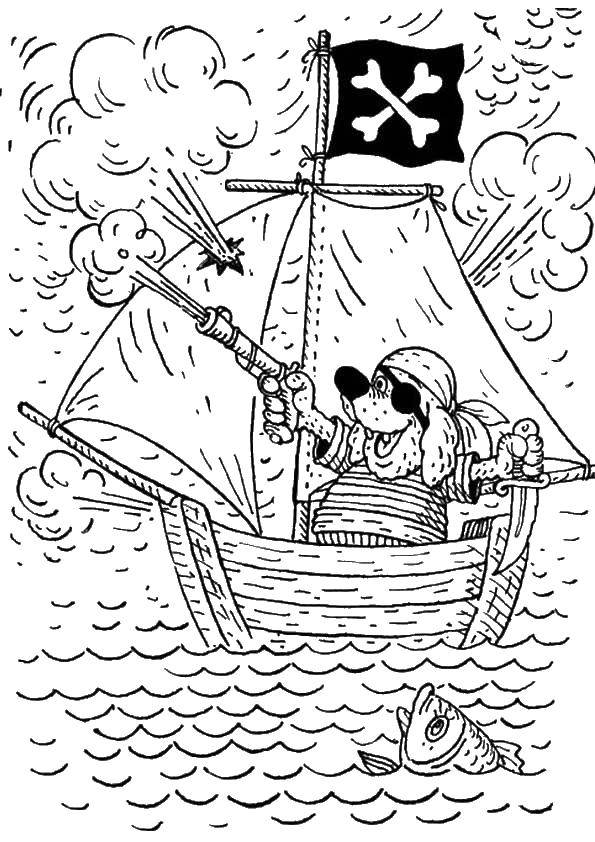 Coloring Dog pirate. Category treasure island. Tags:  pirates, ship.