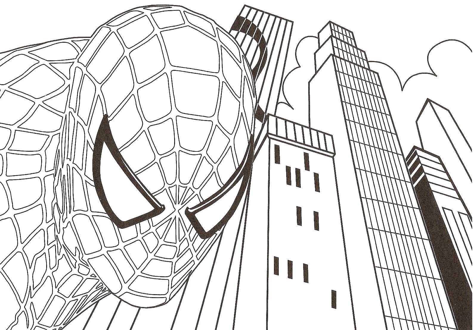 Название: Раскраска Человек паук. Категория: человек паук. Теги: человек паук, супергерой.