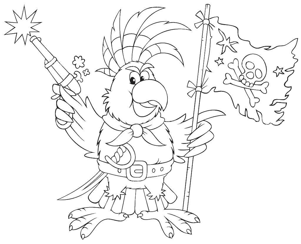 Название: Раскраска Попугай пират. Категория: Пираты. Теги: попугай, пират.