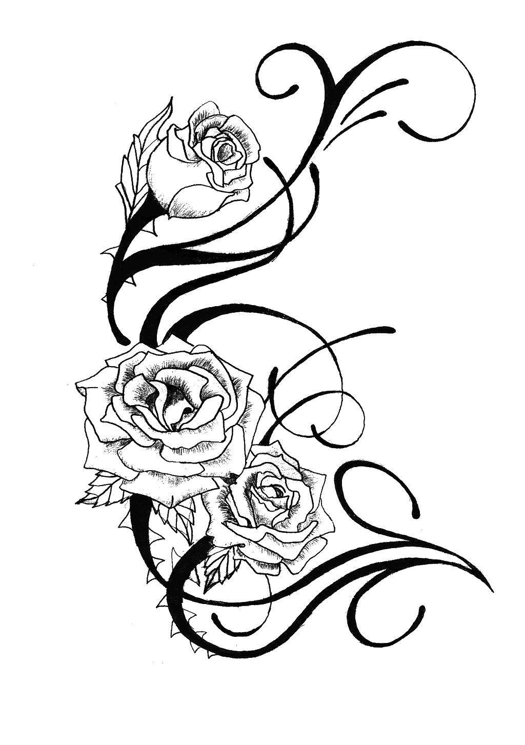 Coloring Roses. Category flowers. Tags:  flowers, roses, leaves.