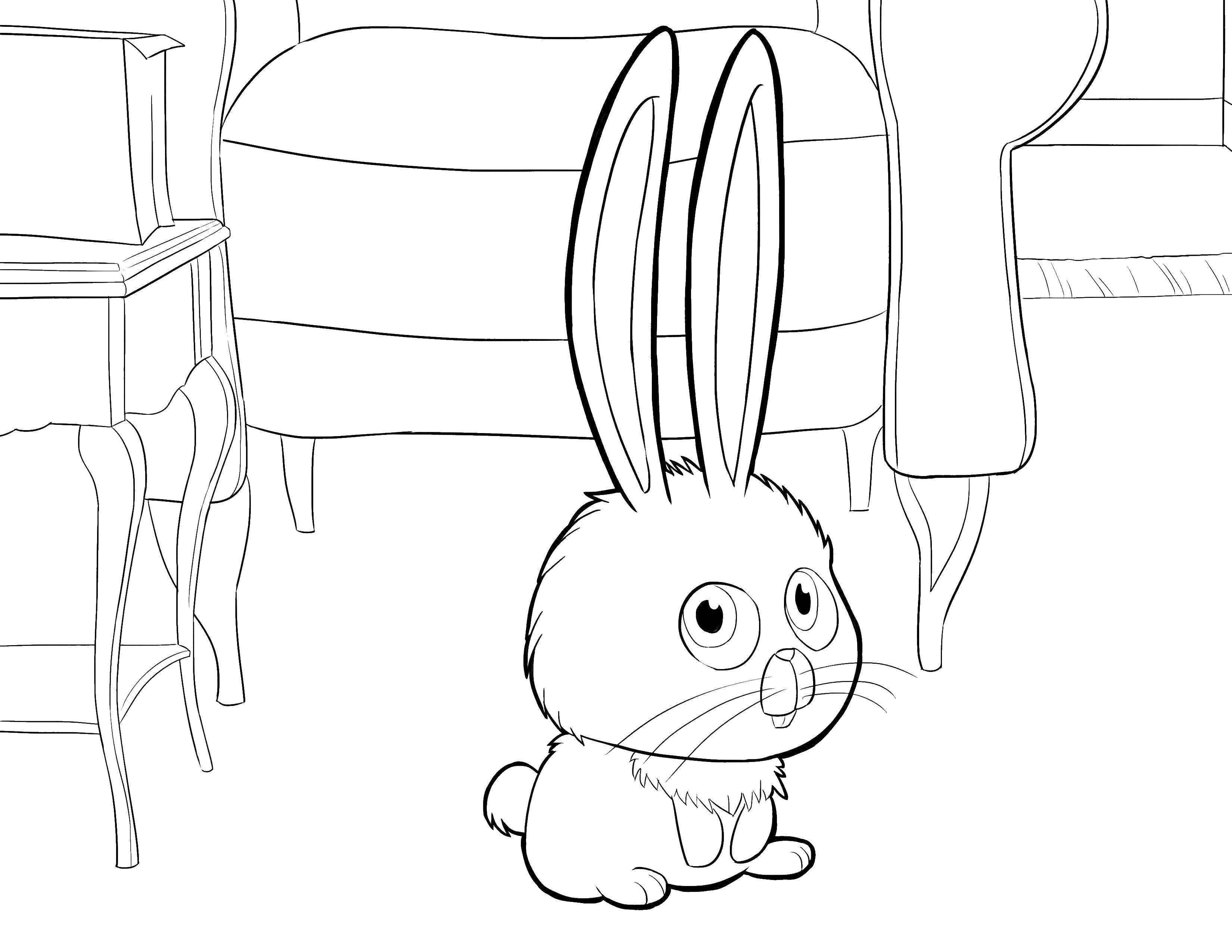 Название: Раскраска Заяц с длинными ушами. Категория: Животные. Теги: заяц, животные.