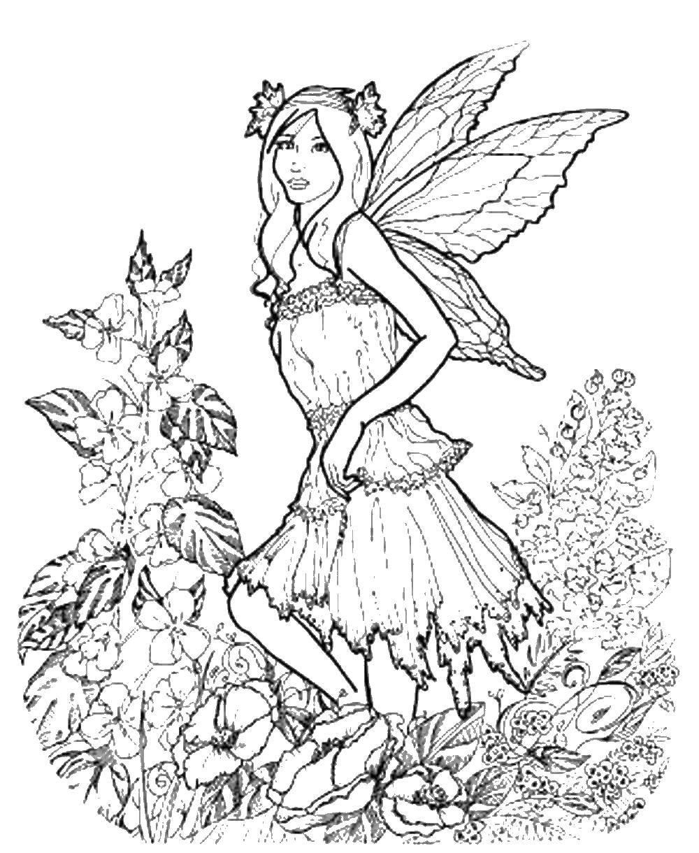 Coloring Fairy. Category fairy. Tags:  fairy.