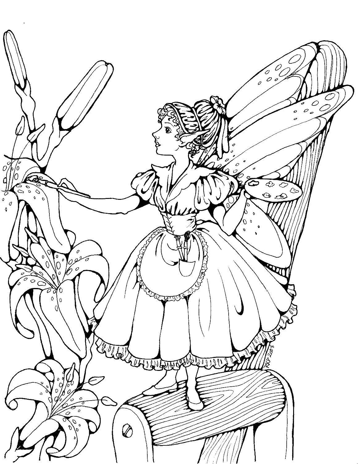 Coloring Fairy. Category fairy. Tags:  fairy.