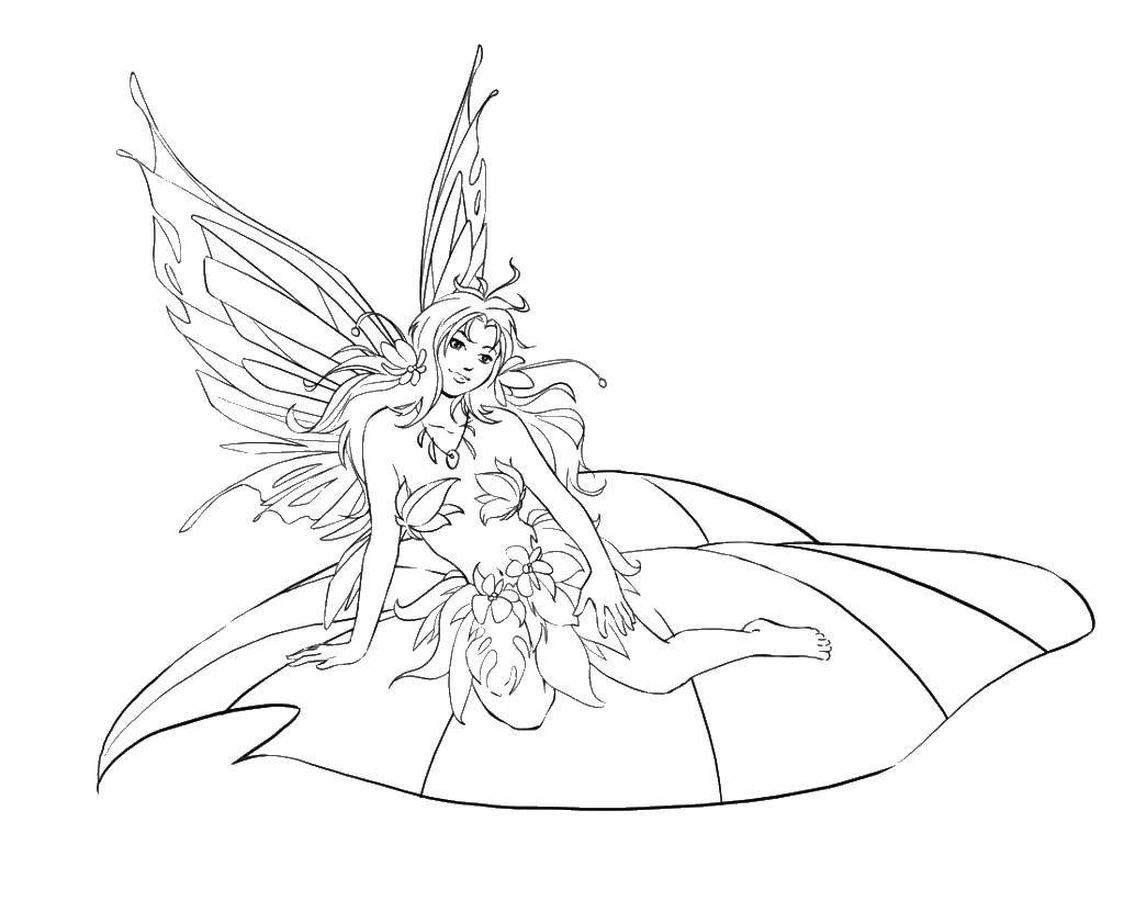 Coloring Fairy sitting on a leaf. Category fairy. Tags:  fairy.