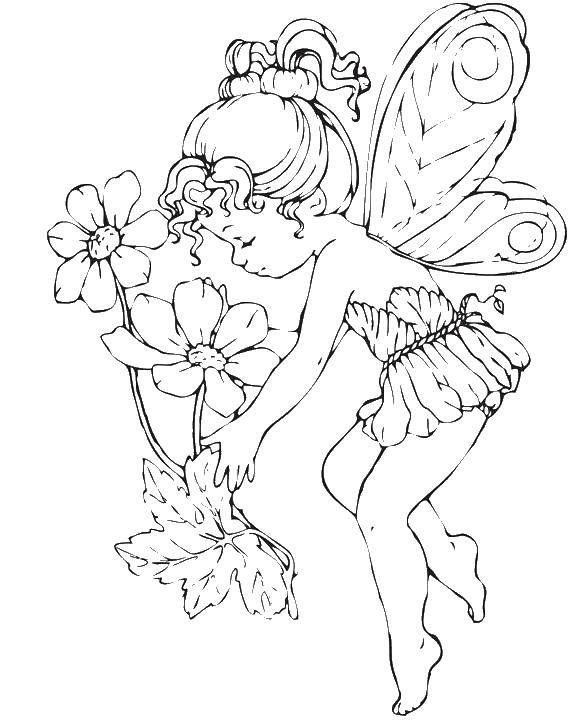 Coloring Fairy. Category fairies. Tags:  fairies, girls, girls, wings.
