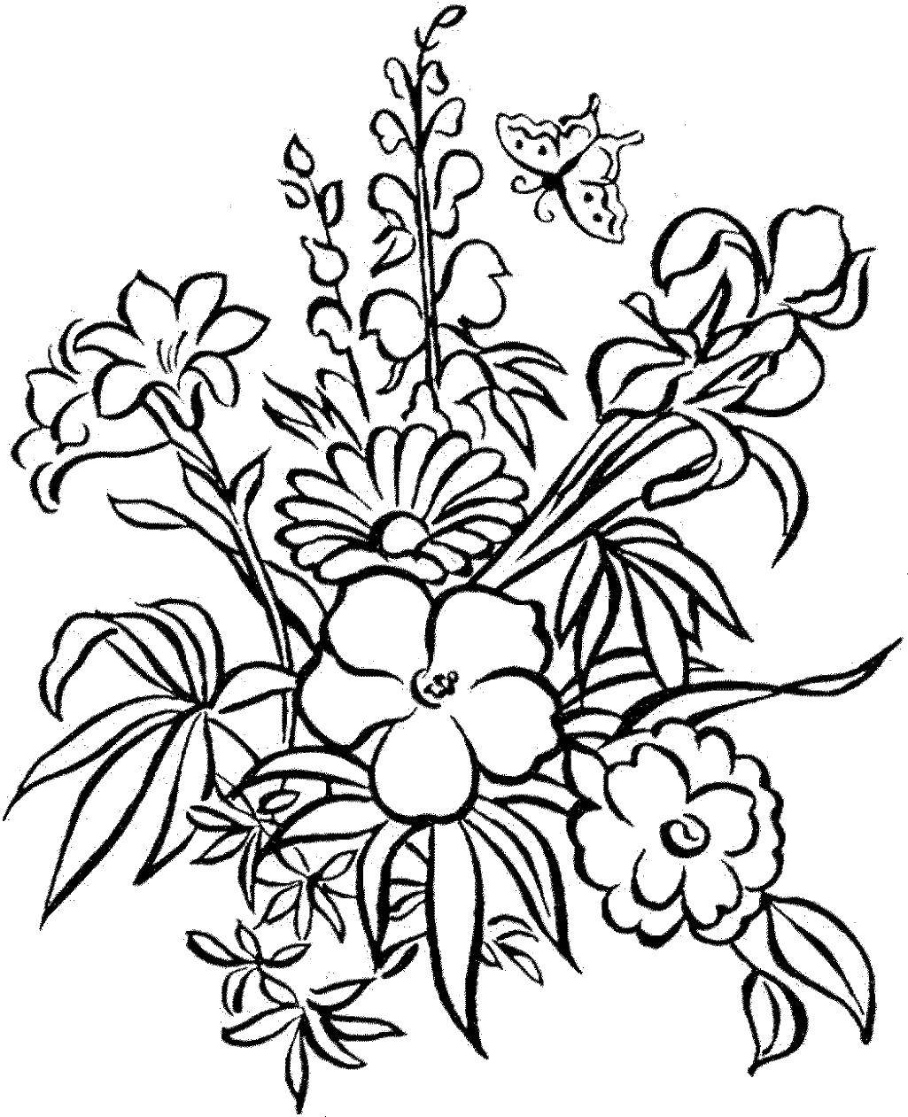 Рисунки Разукрашки Цветы