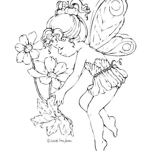 Coloring Fairies. Category Fantasy. Tags:  fairies, girls, girls, wings.
