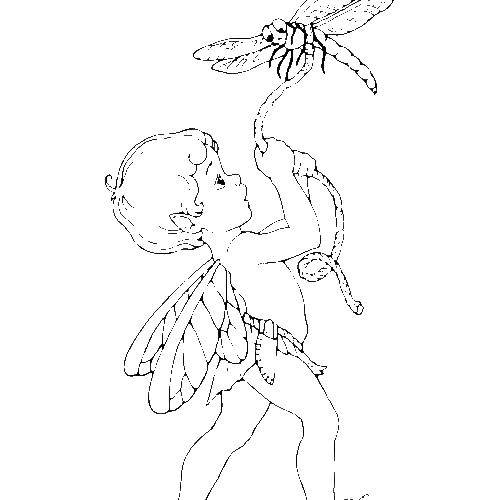 Coloring Fairy catches a dragonfly. Category Fantasy. Tags:  fairy, fairies, play, tree.