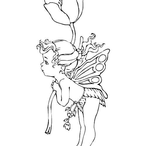 Coloring Fairy with flowers. Category fairy. Tags:  fairy, flowers.