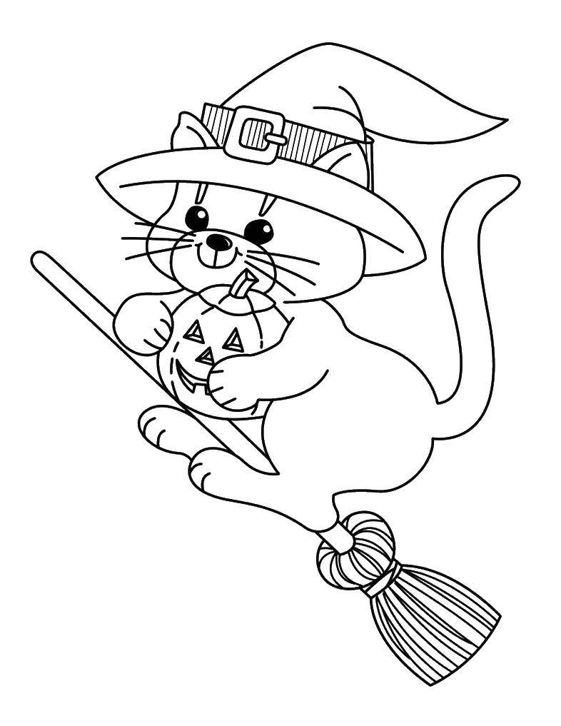 Название: Раскраска Котик на метле. Категория: ведьма. Теги: котик, ведьма, метла.