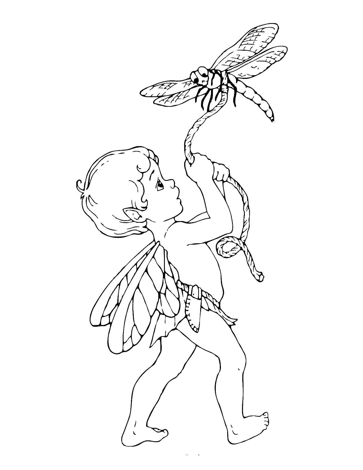 Название: Раскраска Мальчик фея. Категория: Фэнтези. Теги: феи, мальчик, крылья.