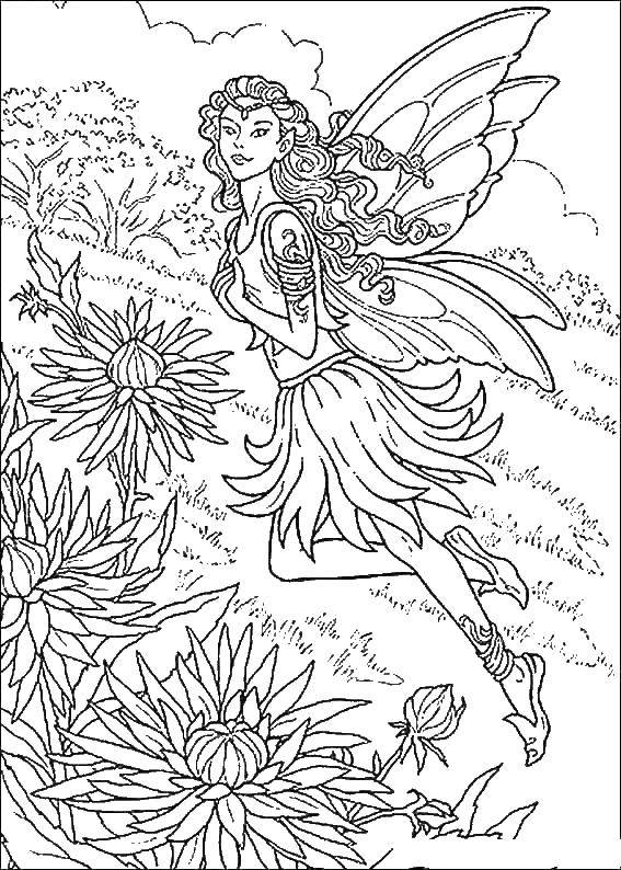 Coloring Flower fairy. Category fairy. Tags:  fairy, Tinker bell, vidia.