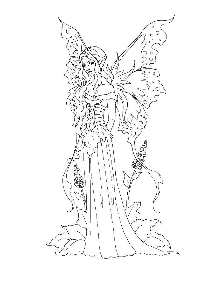 Coloring Fairy. Category Fantasy. Tags:  fairy.