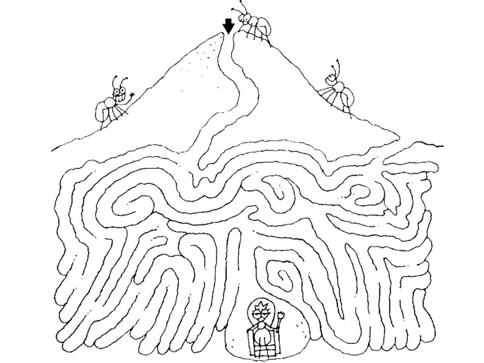 Coloring Ant is looking for the Queen. Category mazes. Tags:  The ant maze.