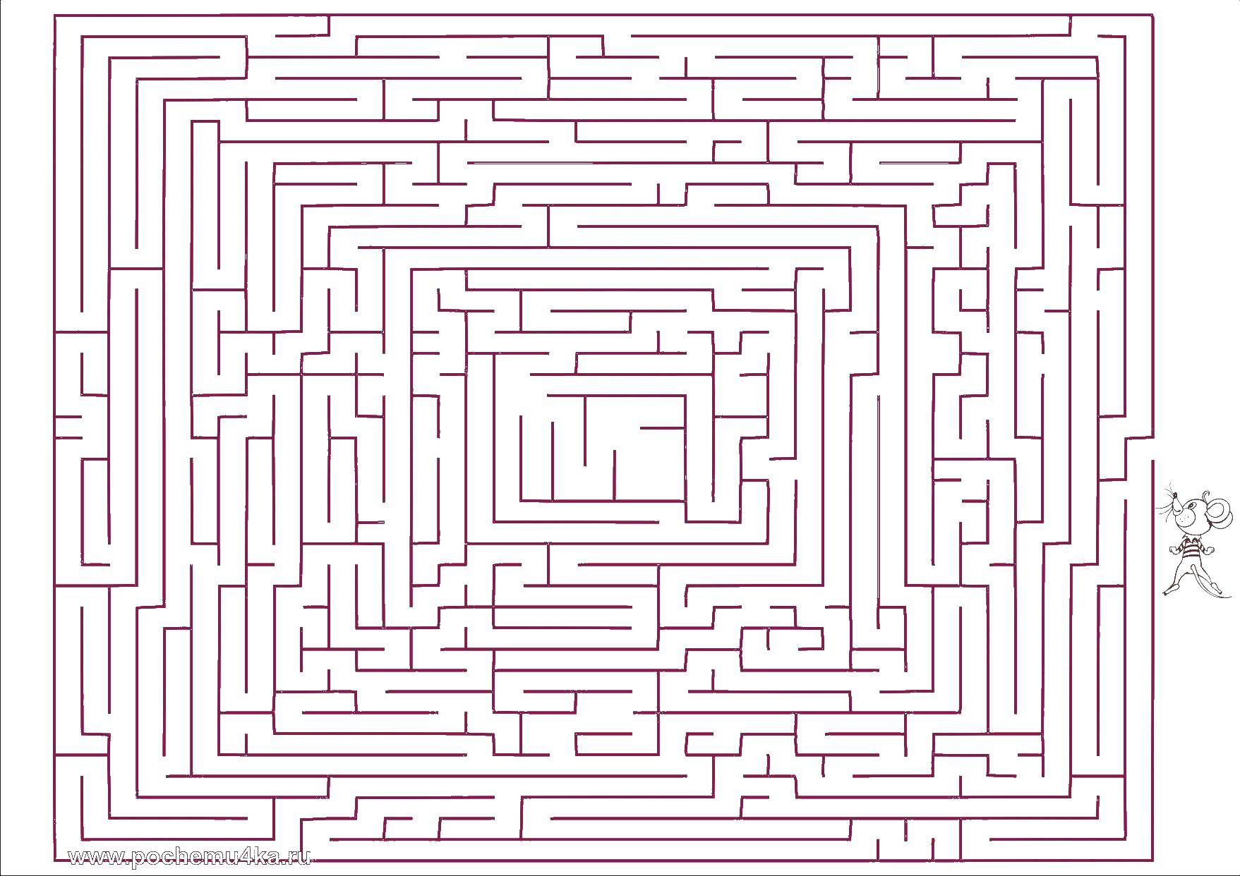 Coloring Mouse is looking for cheese. Category mazes. Tags:  mouse maze.