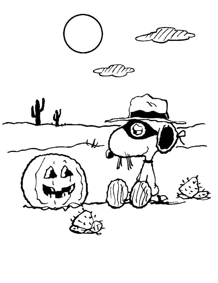 Coloring Snappy, and pumpkin. Category Halloween. Tags:  Halloween, pumpkin.
