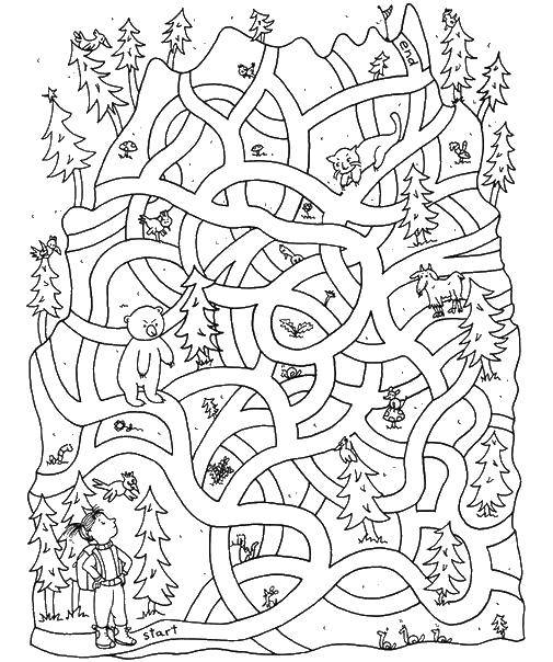 Coloring Girl looking for a way out of the woods. Category mazes. Tags:  the labyrinth.