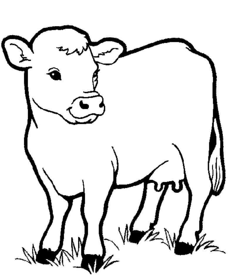 Coloring Cow on the meadow. Category Pets allowed. Tags:  cow.