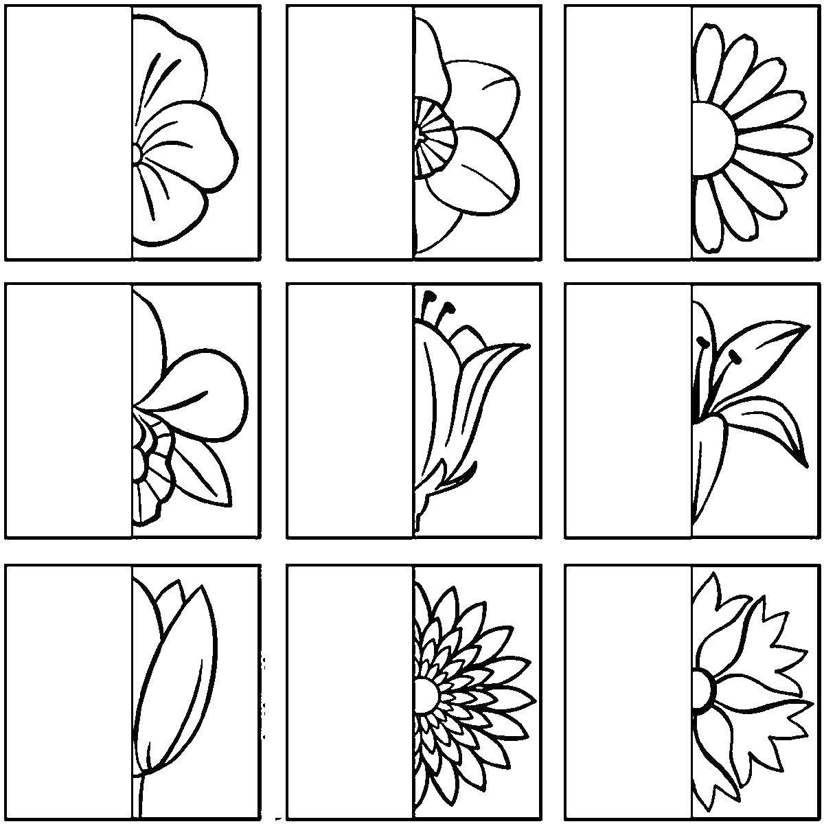 Coloring Flowers. Category fix on the model. Tags:  flowers.