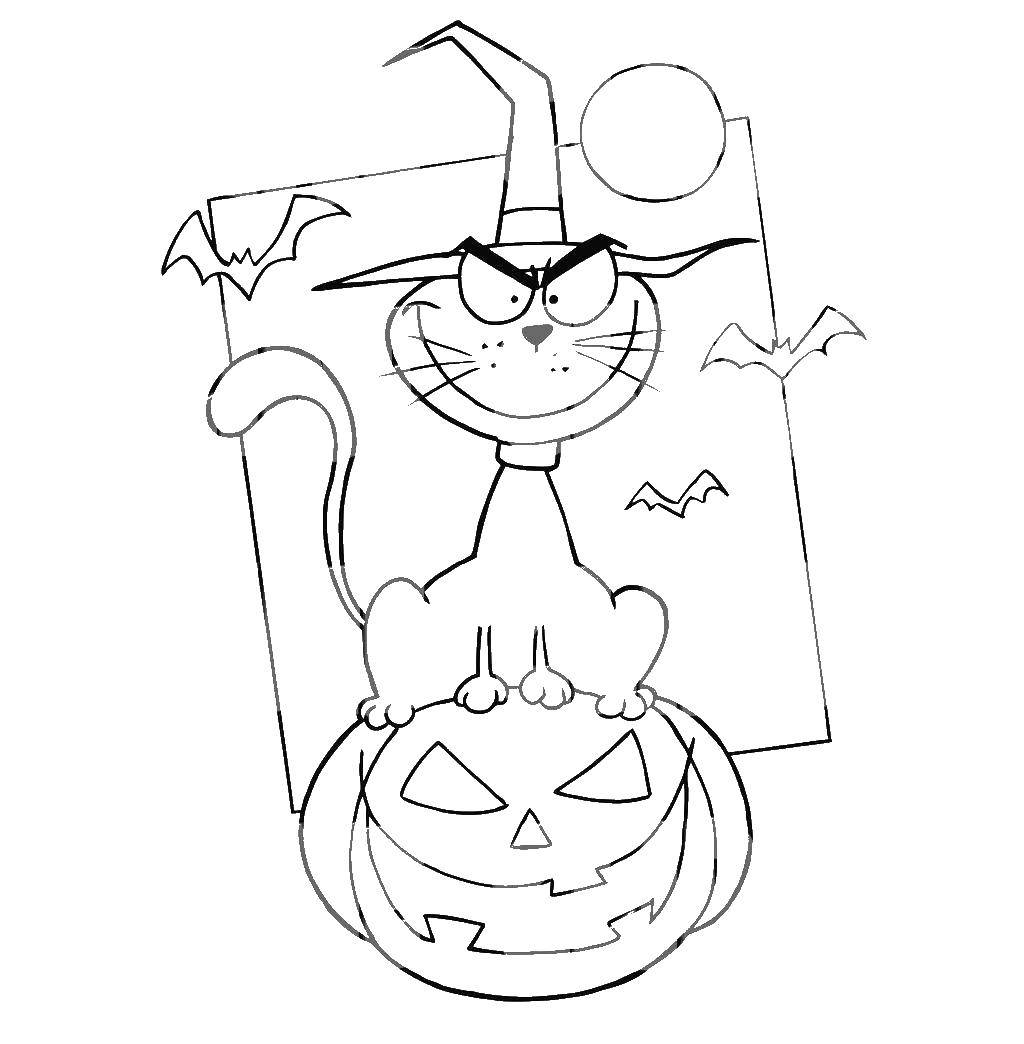 Coloring The cat on the pumpkin. Category Halloween. Tags:  Halloween, pumpkin, cat.