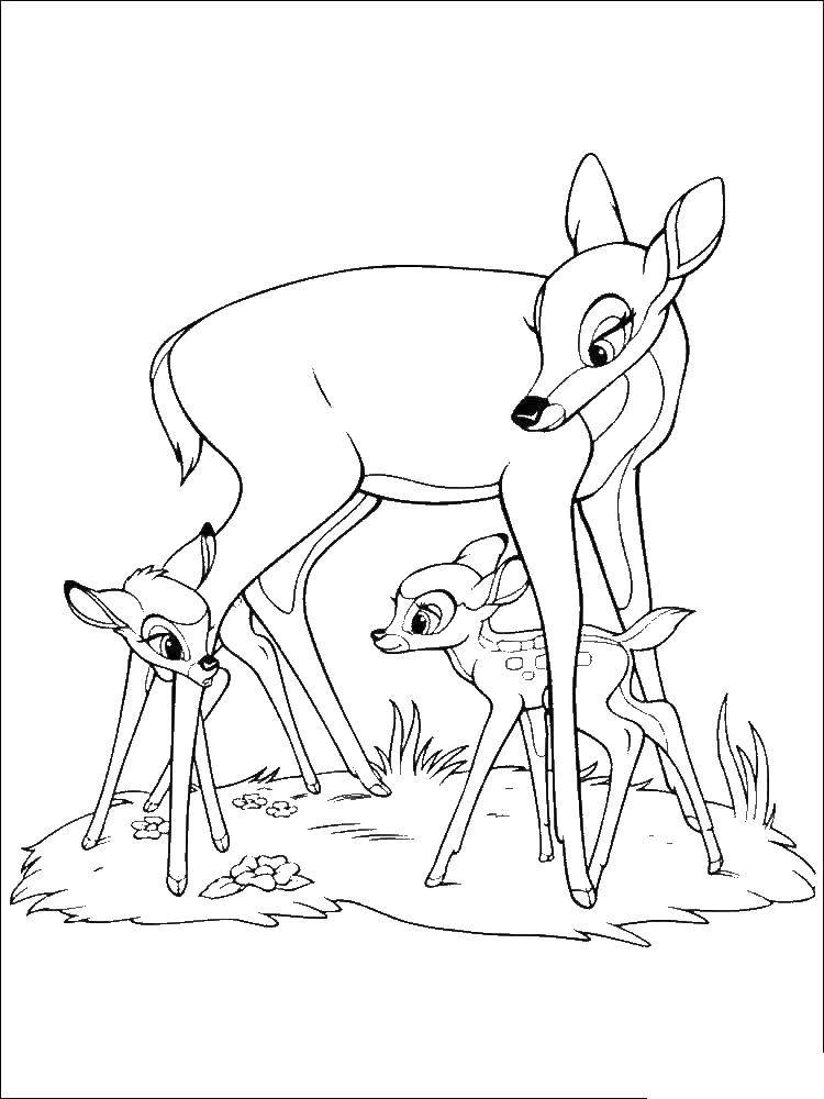 Coloring Bambi hiding behind mom from faline. Category Bambi. Tags:  Bambi, Faline.