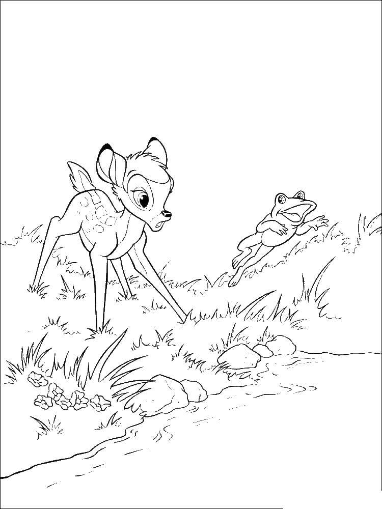 Название: Раскраска Бэмби увидил лягушку. Категория: бэмби. Теги: бэмби, зайчик, зайчик.