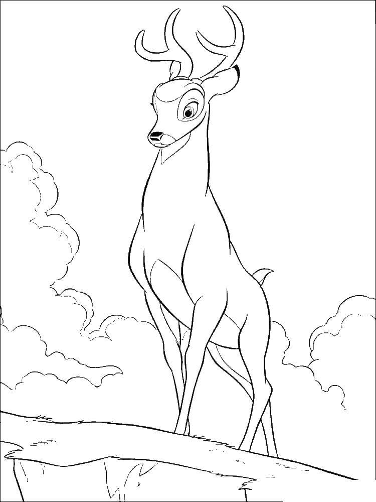 Coloring Bambi. Category Bambi. Tags:  Bambi, Faline.