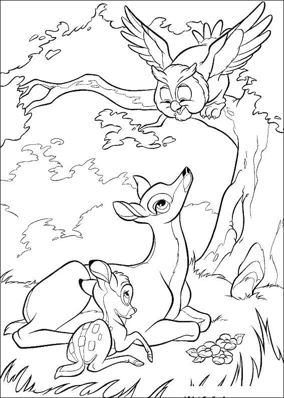 Coloring Cartoon Bambi. Category Bambi. Tags:  Bambi, cartoon, deer, owl.