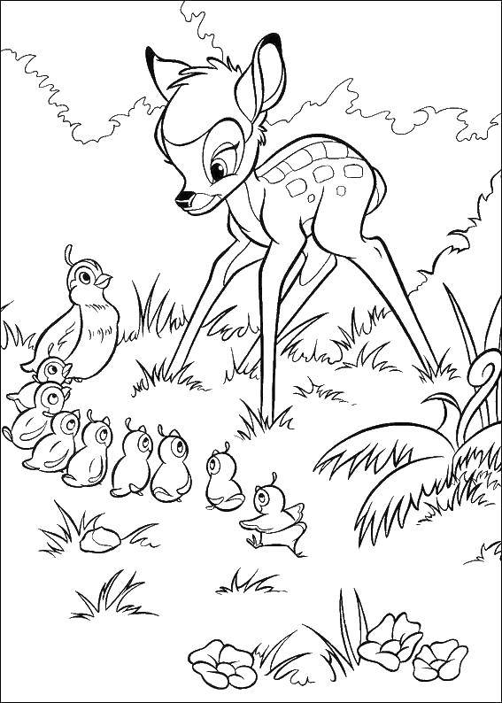 Coloring Cartoon Bambi. Category Bambi. Tags:  Bambi, cartoon, deer, birds.